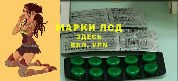 MDMA Санкт-Петербург